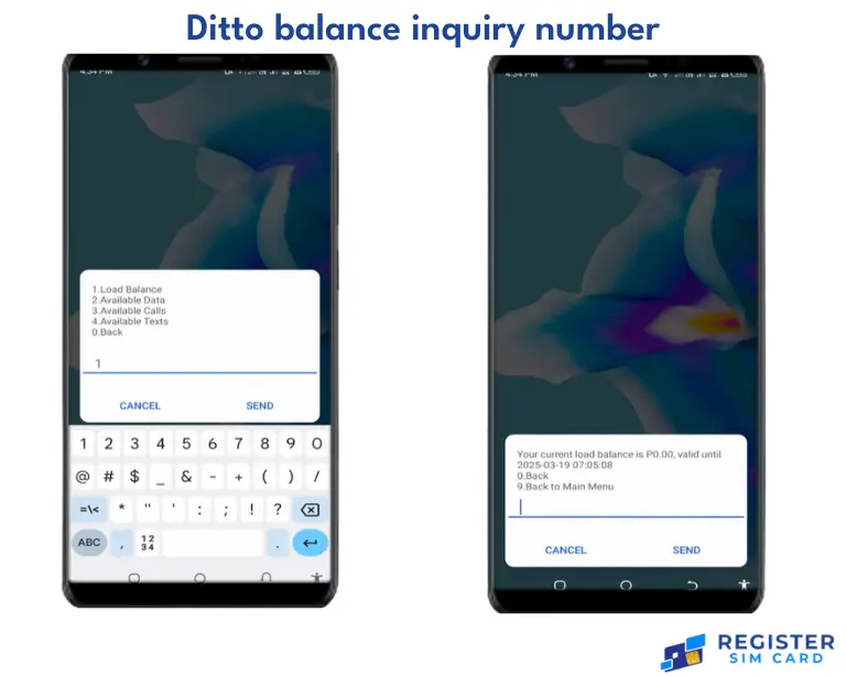 Ditto balance inquiry number